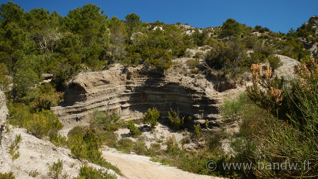 DSCN8757.JPG - Un vero spettacolo, sembra di pedalare in Africa